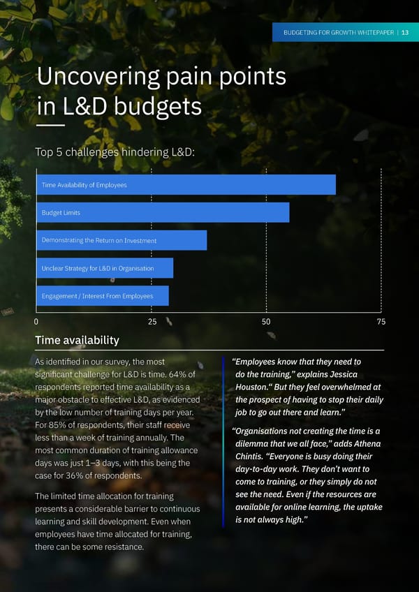 Whitepaper - Budgeting for Growth - Page 13